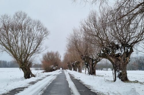 motyw na luty wsparcie