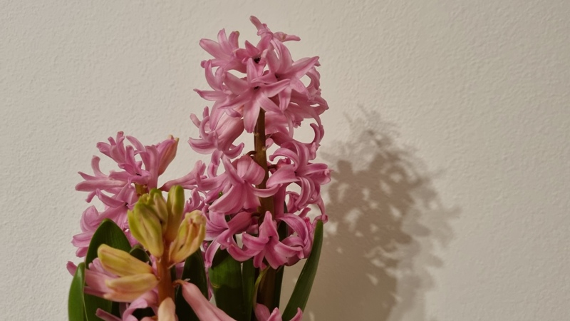 motyw na marzec 2025