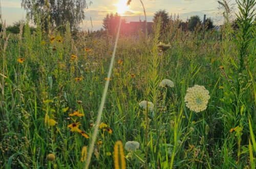 motyw na wrzesien wiecej ruchu