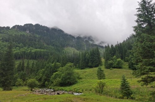 stale zmienne i zacmienia